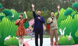 警花被爆料视频小说阅读,揭秘视频背后的真相与悬疑